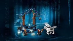 Lego Zabranjena šuma : Magična stvorenja ( 76432 ) - Img 9