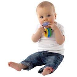 Playgro Glodalica sa teksturom ( 1046324 )-2