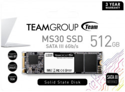 TeamGroup M.2 2280 256GB MS30 NGFF SSD SATA3 530/430MB/s TM8PS7512G0C101 - Img 2