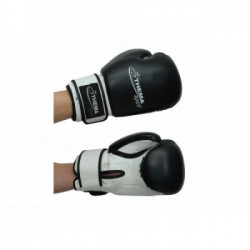 TSport rukavice za boks pu bi 203 12 oz ( BI-203-12 ) - Img 3