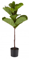 Veštačka biljka Keld fi 40xV85cm ( 4912039 ) - Img 2