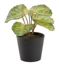 Veštačka biljka LEO fi 13xV14cm zelena ( 4911822 )