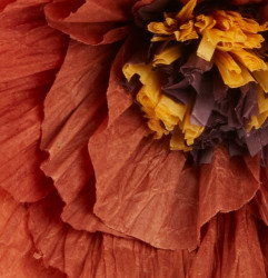 Veštački cvet Per V40cm narandžasta ( 4911830 ) - Img 2