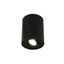 Yuyao Spot lampa 1xGU10   ( E200829 )-1