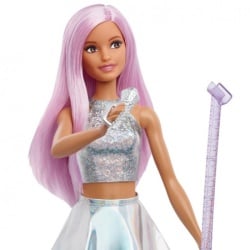 Barbie pop star  ( 1100029657 ) -3