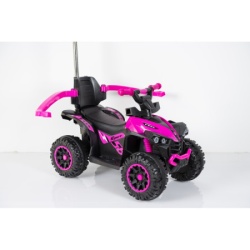 Bic quad push  921 purple   ( TRO0052 ) -2