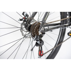 Bicikla 29"/21  maximus grey   ( BCK0953 ) -2