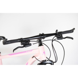 Bicikla 29"/21  maximus pink   ( BCK0950 ) -3