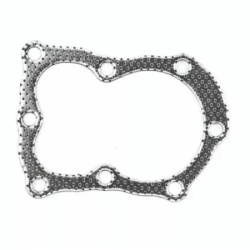 Briggs guini parts zaptivač glave br 5ks org. ( 12194 )