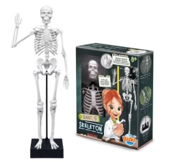 Buki Skelet ( 104308 )-6