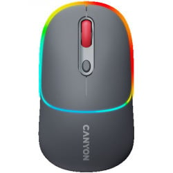 Canyon MW-22, 2 in 1 wireless optical mouse ( CNS-CMSW22DG )  - Img 1