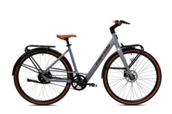 Capriolo e-bike belt drive sivo-bež (480) ( 925840 )