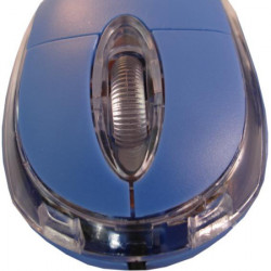 Connect XL miš optički, 800dpi, USB, plava boja - CXL-M100BU - Img 3