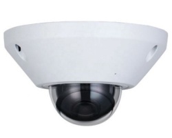 Dahua IPC-EB5541-AS 5MP WizMind Fisheye Network kamera -1