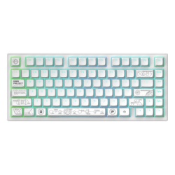 Dark Project Dark Project ALU Terra Nova R2 White - Wireless Gaming Keyboard (ANSI) ( 076163 )
