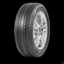 Davanti 225/50R17 98H Wintoura+ zimska ( 012566 )