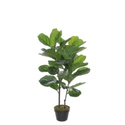 Dekordom 1040427 Cvet u saksiji ficus lyrata 100cm - green - edl ( 040433 )