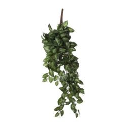 Dekordom 1074947 Cvet syngonium 54cm - green - edl ( 040438 )