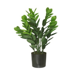 Dekordom Cvet u saksiji - money grass 9pcs - n60 ( 025152 )