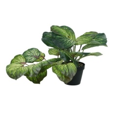 Dekordom Cvet u saksiji - monstera white zd-bybg30-pgj5 - 32cm - n55 ( 025078 )