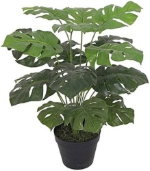 Dekordom cvet u saksiji - monstera zd-bybg25-pgj5 - 32cm - n55 ( 025077 )