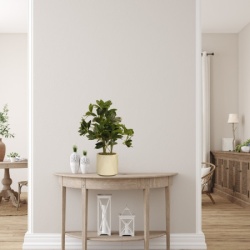 Dekordom Cvet u saksiji schefflera - n58 ( 025187 )