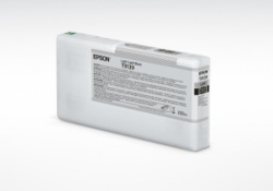 Epson light black Ink cartridge (200ml) C13T913900