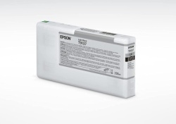 EpsonC13T913700 light black