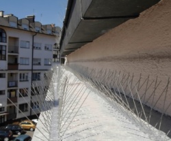 Home Set Veći - 6 komada šiljaka za rasterivanje ptica sa dvostrano lepljivom trakom