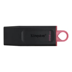 Kingston DTX/256GB USB Flash memorija 256GB ( 83004 )