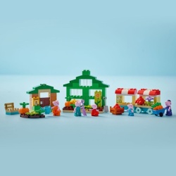 Lego 10461 Bašta i staklenik Deke Praseta ( 10461 )-2