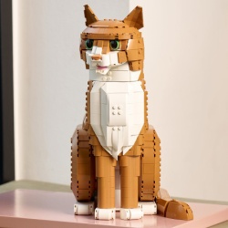 Lego Narandžasta mačka ( 21376 )-2