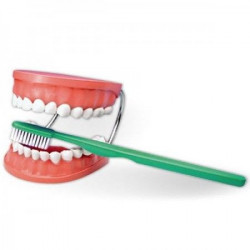 Pranje zuba TH001 ( 5883 )
