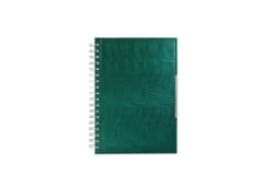 Sigma 11750243 notes 2027 kelly green  ( 81095 )-1