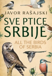 SVE PTICE SRBIJE - Javor Rašajski ( 9123 )-1