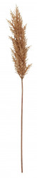 Veštački cvet Tomas V95cm natur ( 4911859 ) - Img 1