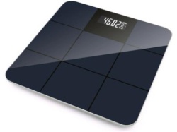 Vox pw 447-02 vaga telesna