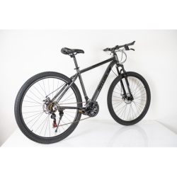 Bicikla 29"/21  maximus grey   ( BCK0953 ) -9