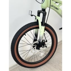 Dečiji bicikl 20" ql-green  (BCK0803) -2