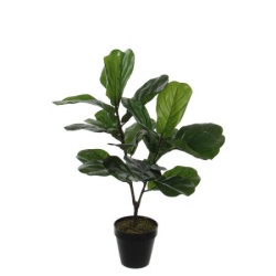 Dekordom 1040426 Cvet u saksiji ficus lyrata 75cm - green - edl ( 040432 )