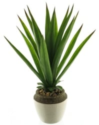 Dekordom Cvet u saksiji aloe 46cm 51929-1 - green - nnt ( 040068 )