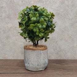 Dekordom cvet u saksiji - bonsai lv001 - n38 ( 024266 )-3