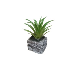 Dekordom cvet u saksiji - succulent round 123 - n44 ( 024274 )-5