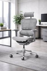 ERGOHUMAN 2 ULTRA Gray