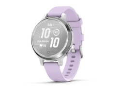 Garmin lily 2 active silver/jasmine p smartwatch ( 010-02891-01 )