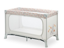 Hauck prenosivi krevetac dream n play plus, pooh ( A095561 )