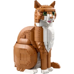 Lego Narandžasta mačka ( 21376 )-9