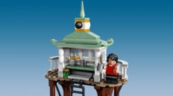 Lego tročarobnjački turnir: Crno jezero ( 76420 ) - Img 14