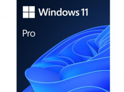 Microsoft Win 11 Pro 64Bit Eng Intl 1pk DSP OEI DVD ( FQC-10528 )