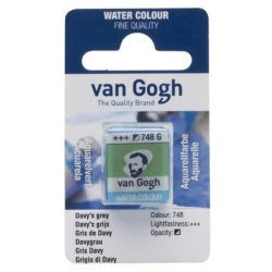 Royal Talens van gogh akvarel boja u panu 13g - odaberite nijansu davy's grey ( 687748 )